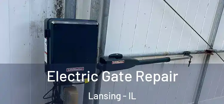 Electric Gate Repair Lansing - IL