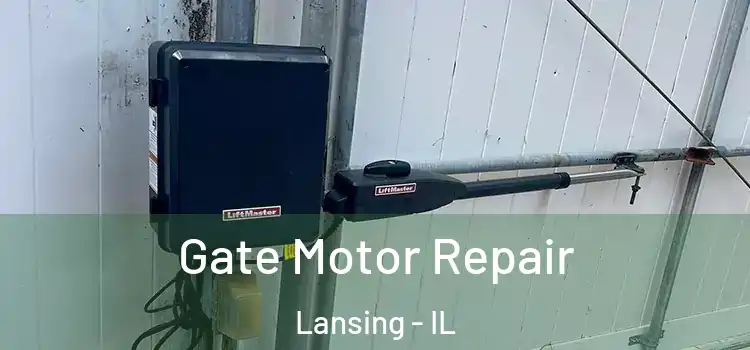 Gate Motor Repair Lansing - IL